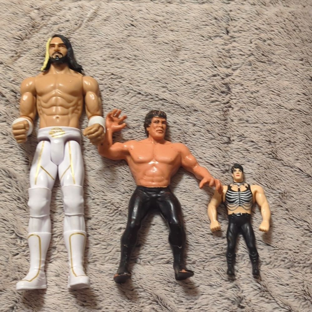 WWE Sasha Banks Action WWF Chyna Bend 'Ems &‎ Ricky The Dragon Steamboat Vintage